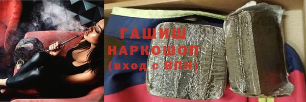 стаф Верея