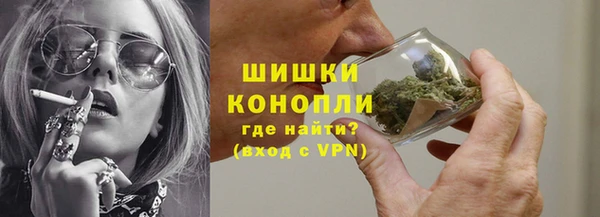 стаф Верея