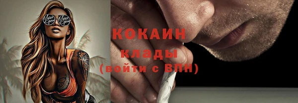 стаф Верея