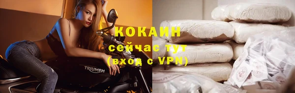 стаф Верея