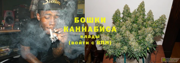стаф Верея