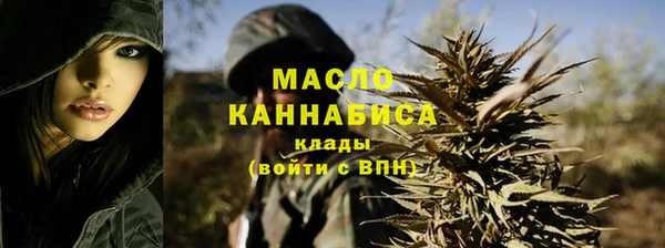 стаф Верея