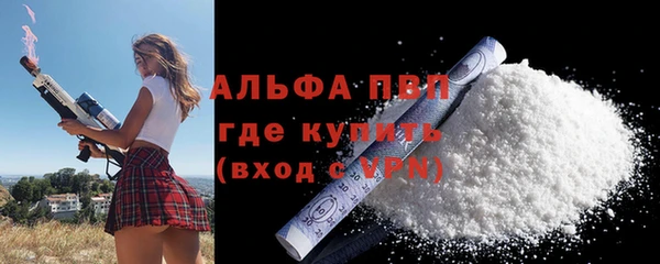 стаф Верея