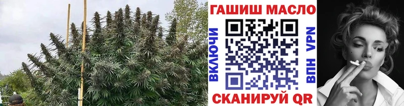 Купить  Кинель  ТГК гашишное масло 